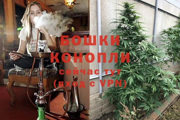 jwh Богородск